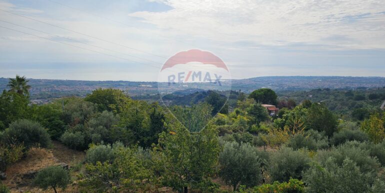 20251003142700-991439-17