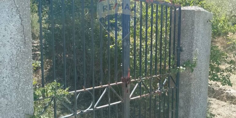 20251003193554-991579-3