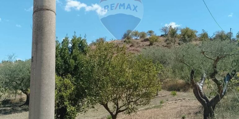 20251003193556-991579-4