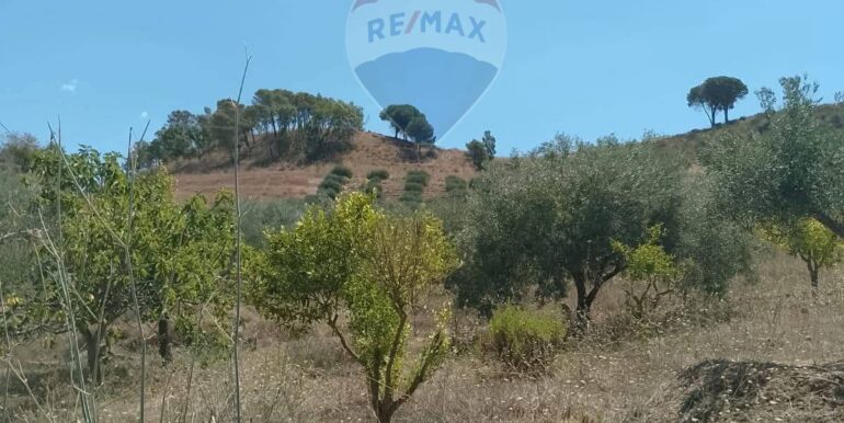 20251003193559-991579-5