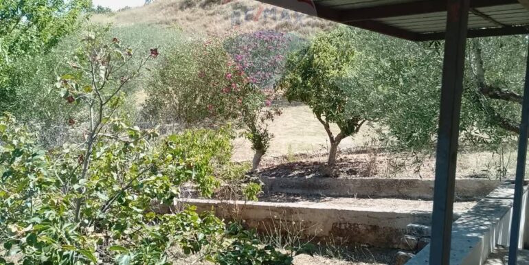 20251003193612-991579-14