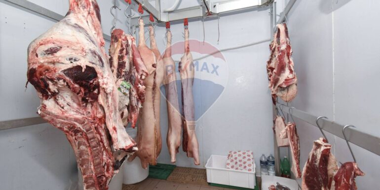 20251005214134-991755-20