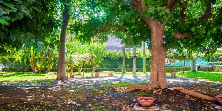 20251006100053-991573-13