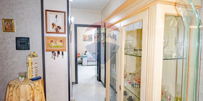 20251006111455-991815-1