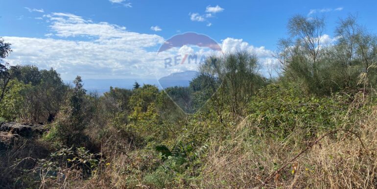 20251007114308-992065-1