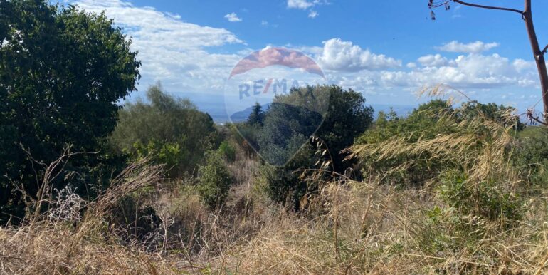 20251007114314-992065-2