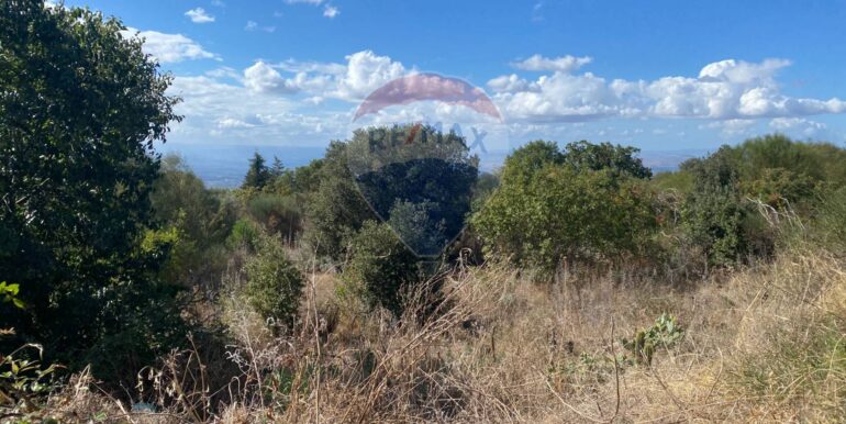 20251007114318-992065-3