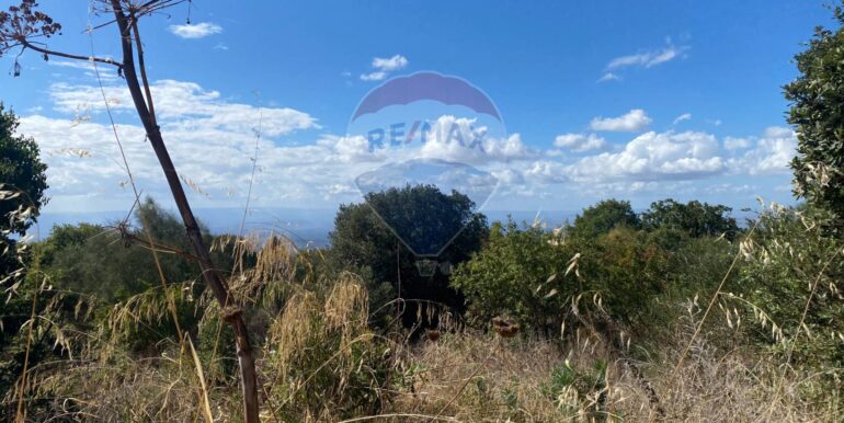 20251007114327-992065-5