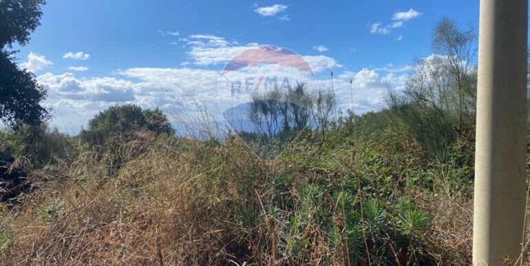 20251007114334-992065-6