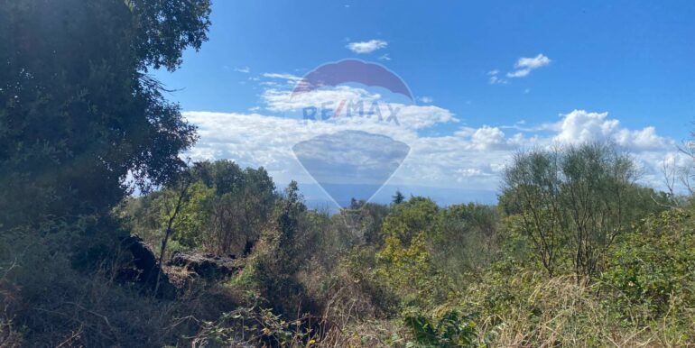 20251007114339-992065-7