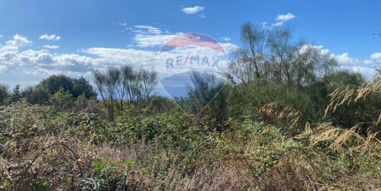 20251007114347-992065-8