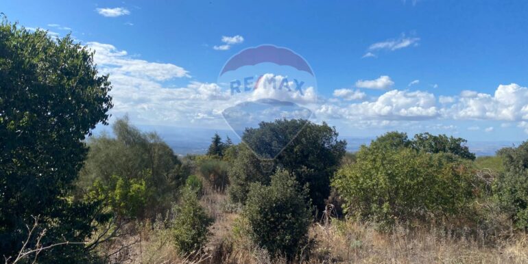 20251007114355-992065-9