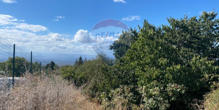 20251007114402-992065-10