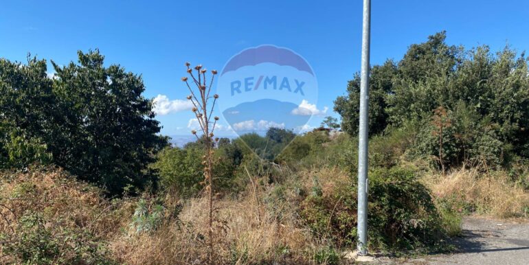 20251007114425-992065-13