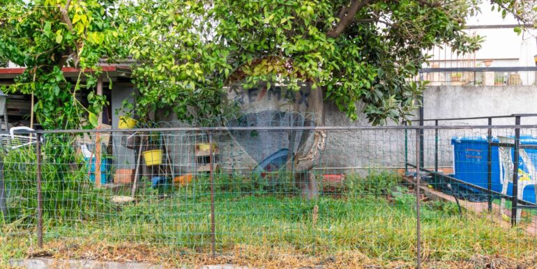 2025100790556-992015-2