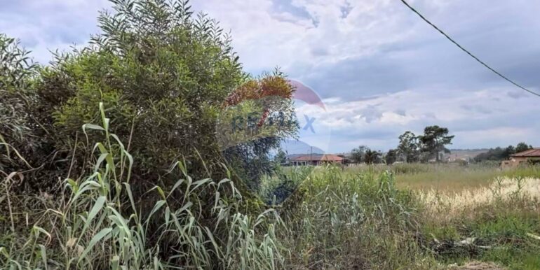 20251008225922-988846-1