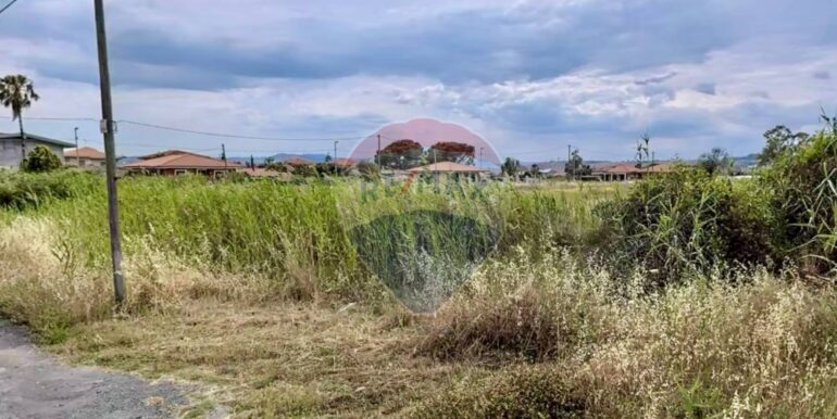 20251008225926-988846-2