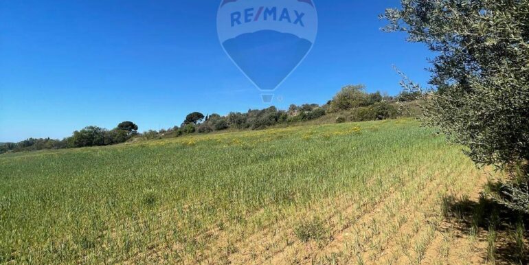 20251009171807-992781-0