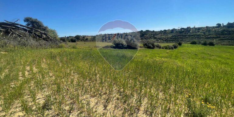 20251009171808-992781-5