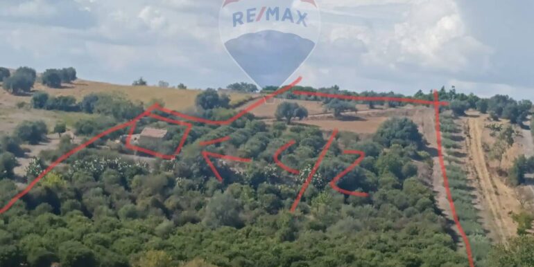 2025100984754-989119-1