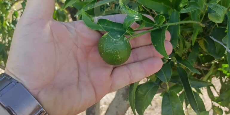 2025100984805-989119-5