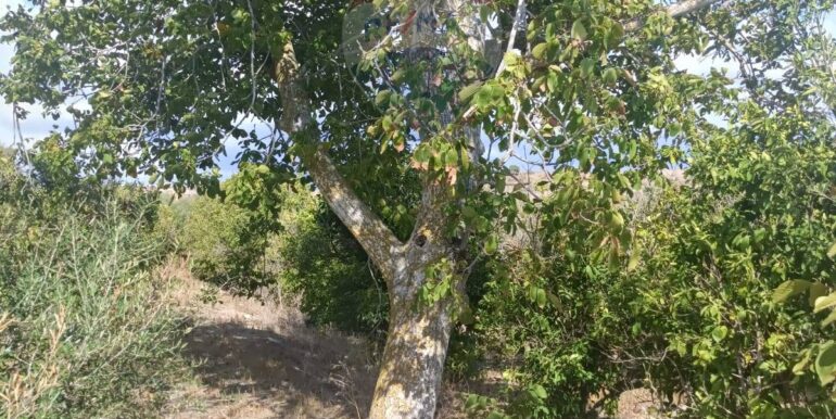 2025100984808-989119-6