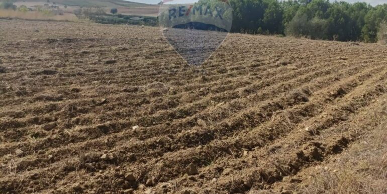 2025100984814-989119-8