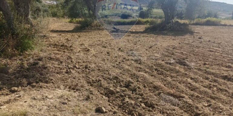 2025100984819-989119-9