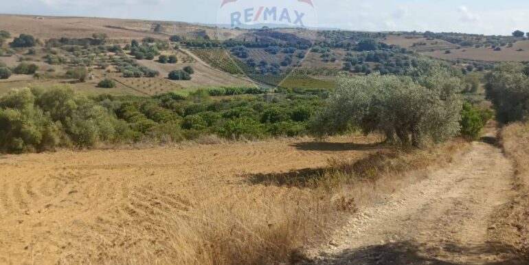 2025100984822-989119-10