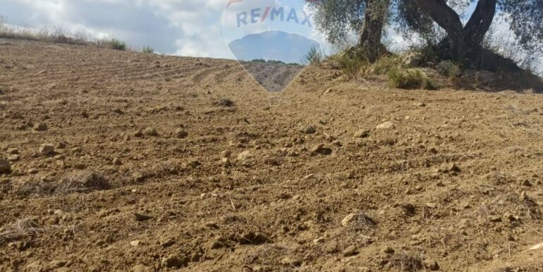 2025100984826-989119-11