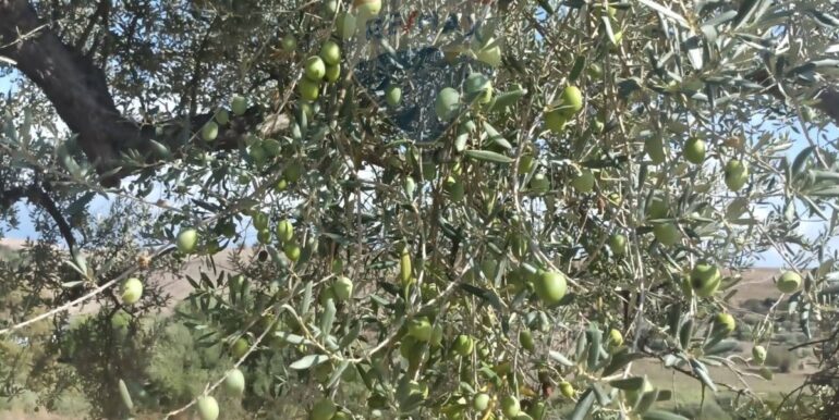 2025100984830-989119-12