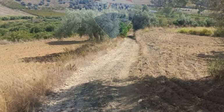 2025100984834-989119-13