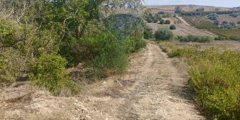 2025100984838-989119-14