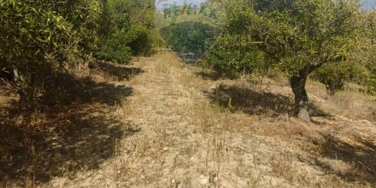 2025100984841-989119-15