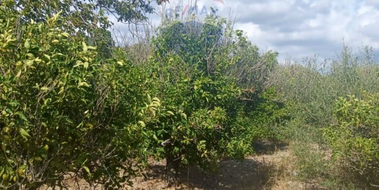 2025100984845-989119-16