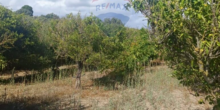 2025100984850-989119-17