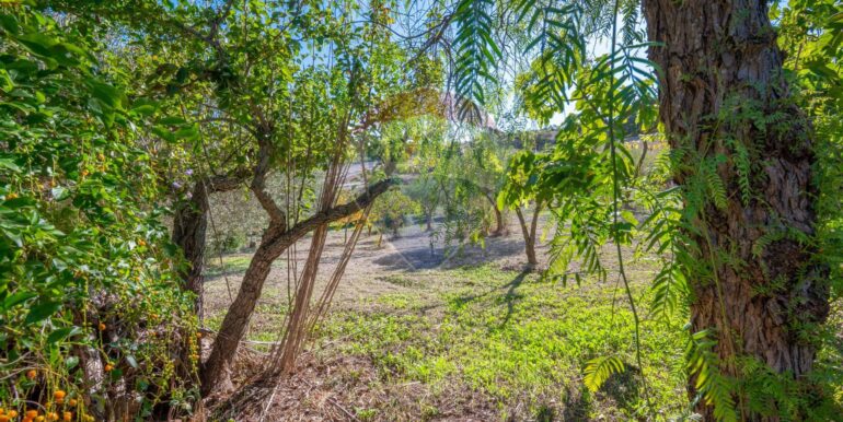 20251010111258-992855-7