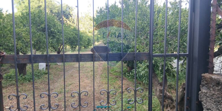 20251012134321-993139-3