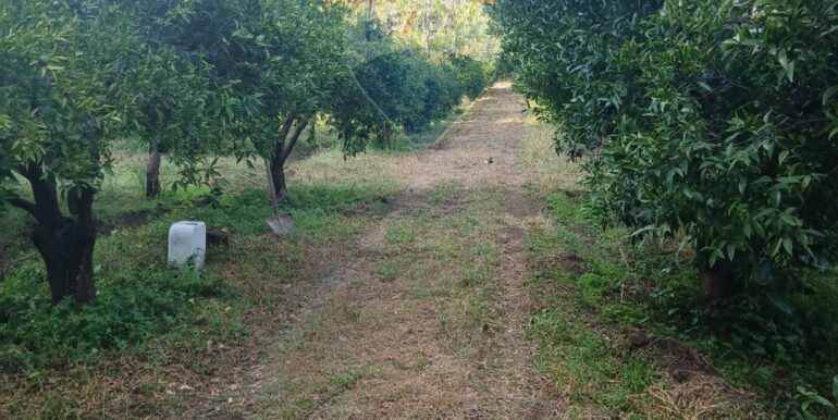 20251012134326-993139-4