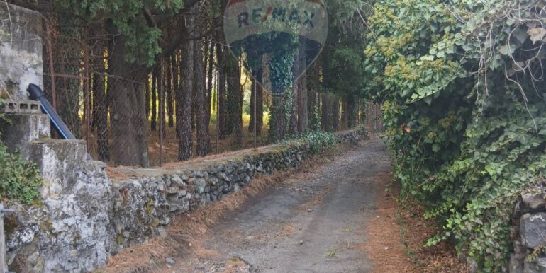 20251012134504-993139-6