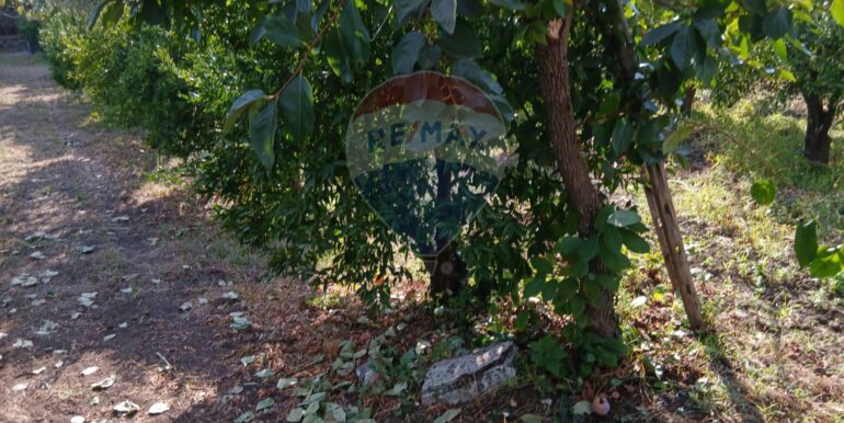 20251012134628-993139-7