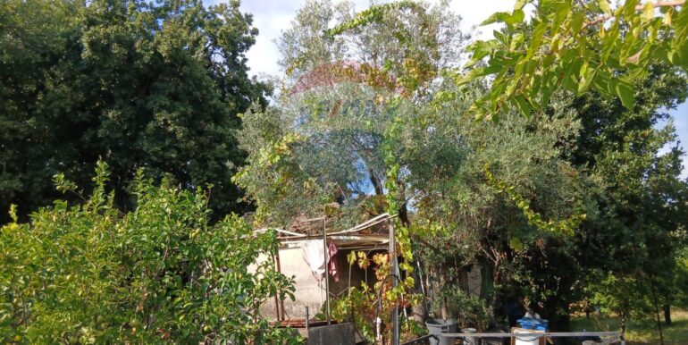 20251012134634-993139-8