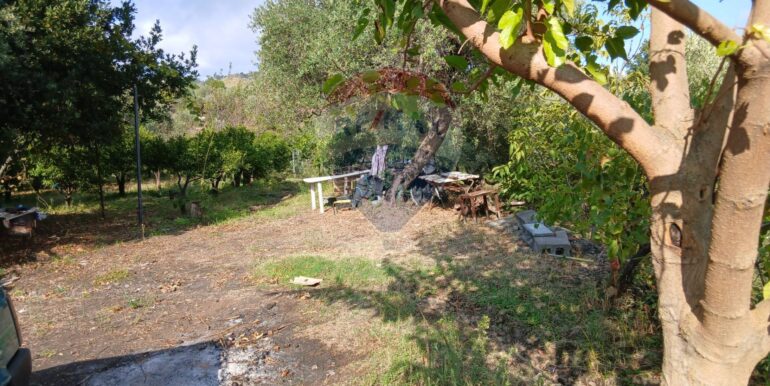 20251012134639-993139-9