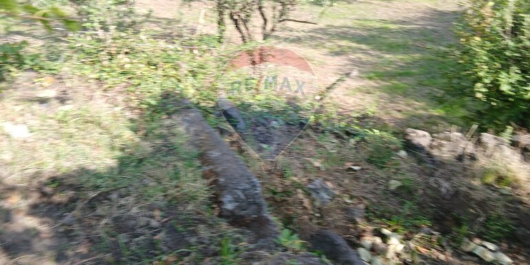 20251012134644-993139-10