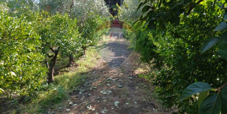 20251012134649-993139-11