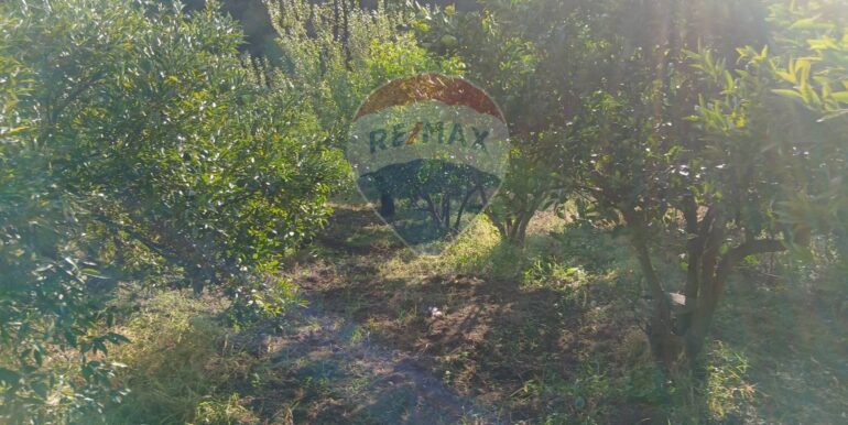 20251012134655-993139-12