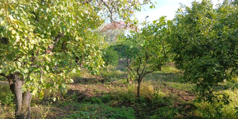 20251012134659-993139-13