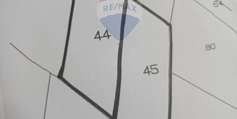 2025101393327-989062-1