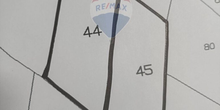 2025101393331-989062-2