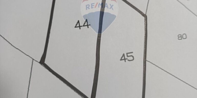 2025101393335-989062-3